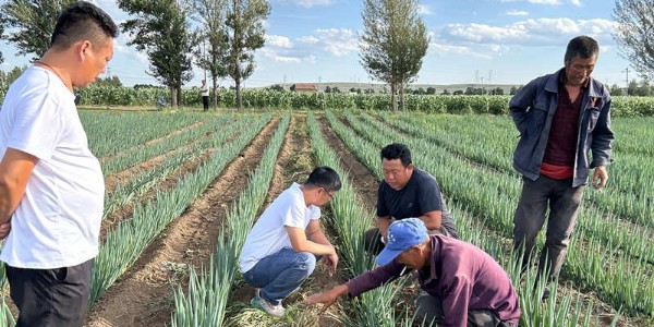 蔥滿滿線下技術調研:走進內蒙古