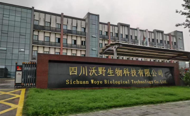 蔥滿滿參觀中迅4