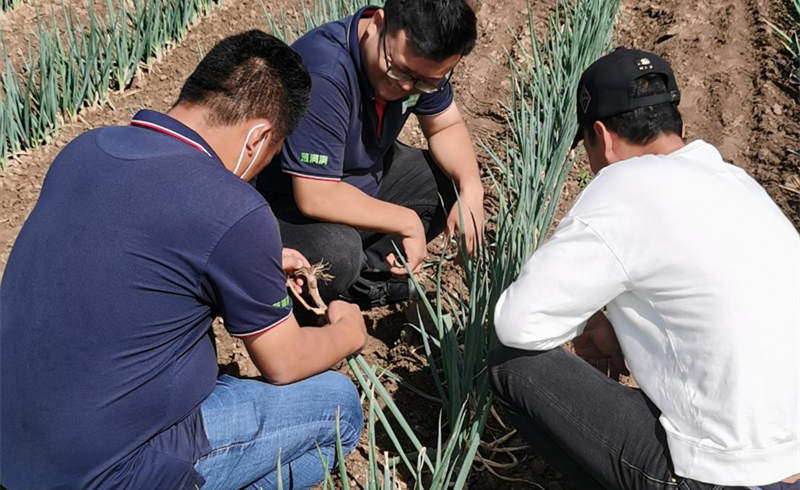 蔥滿滿技術指導