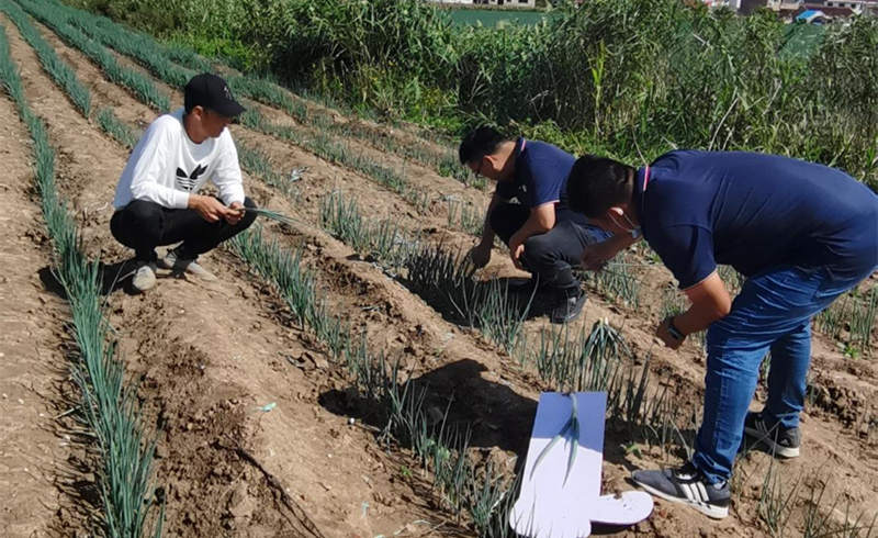 蔥滿滿線下技術指導