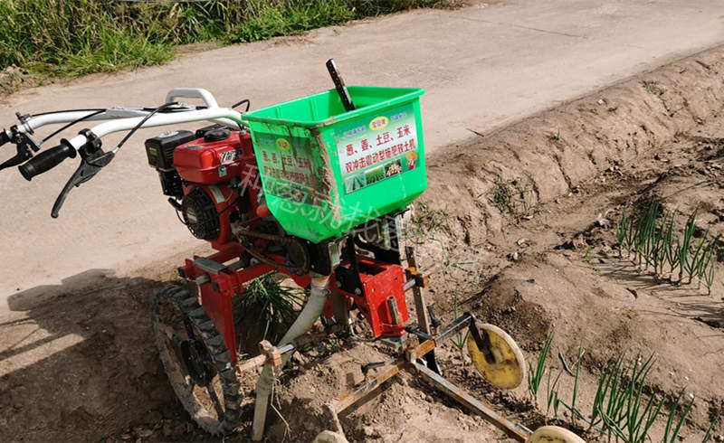 陳先生蔥田實拍