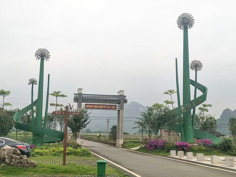 蔥滿滿走進廣西香蔥基地