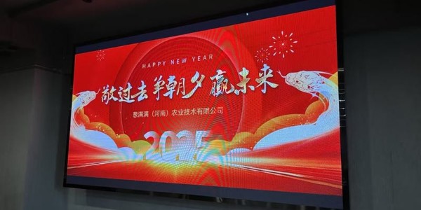 敬過去,爭朝夕,贏未來,蔥滿滿2024年終總結暨2025年展望