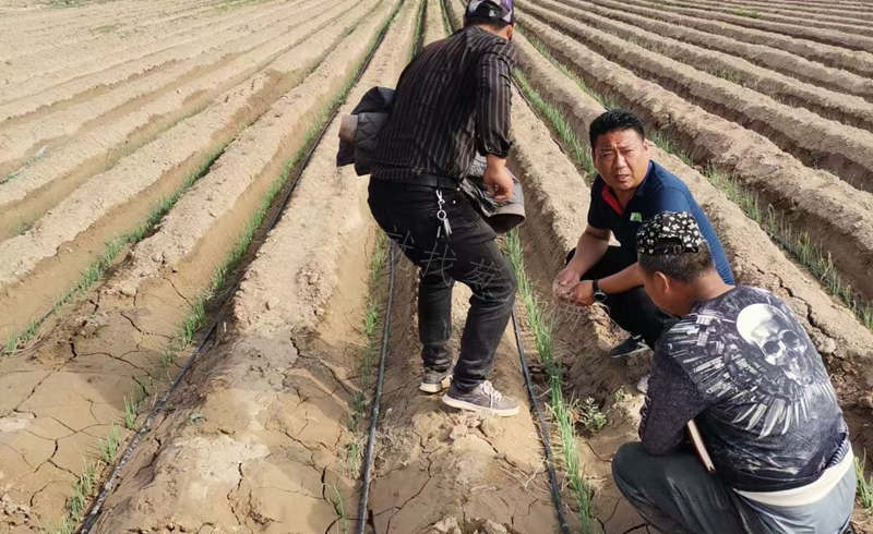 寧夏駐地技術服務