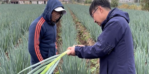 蔥滿滿技術團隊線下技術調研走訪