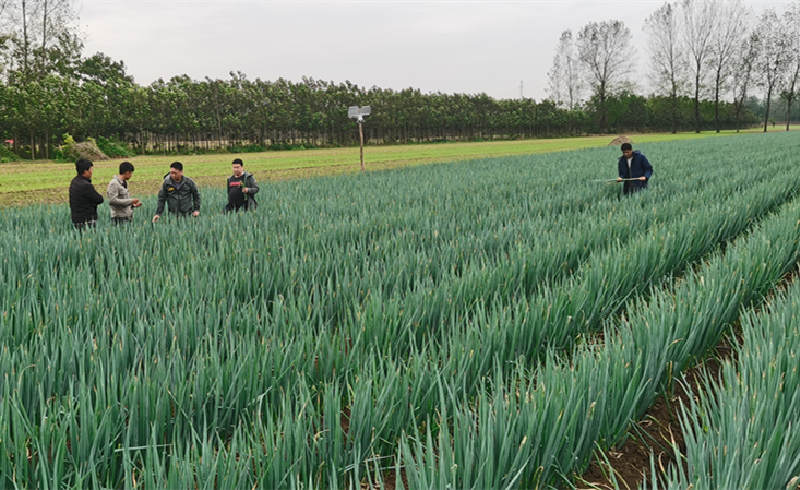 蔥滿滿團隊線下技術指導