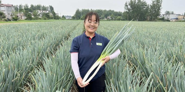 孫建萍：在萍水相逢中助您喜獲豐收