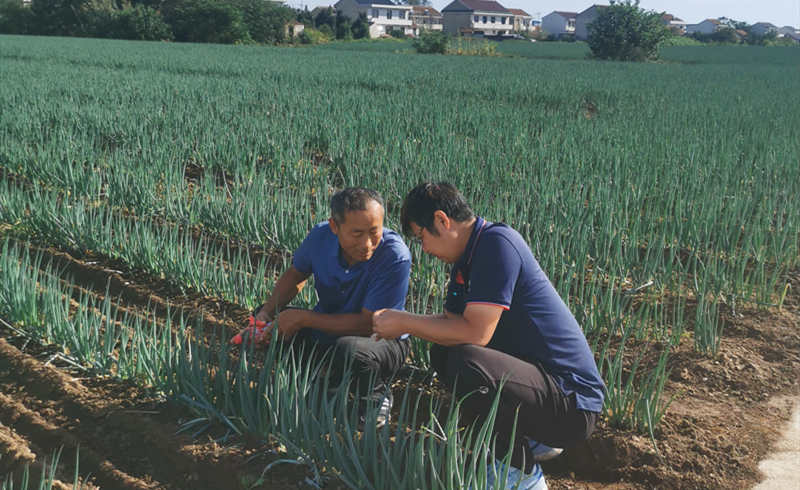 常先生線下指導