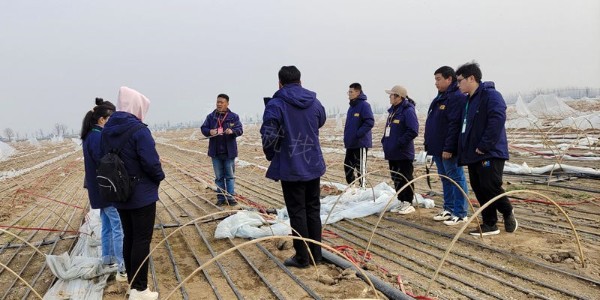 蔥滿滿技術團隊到新鄉種植基地實地學習大蔥種植管理