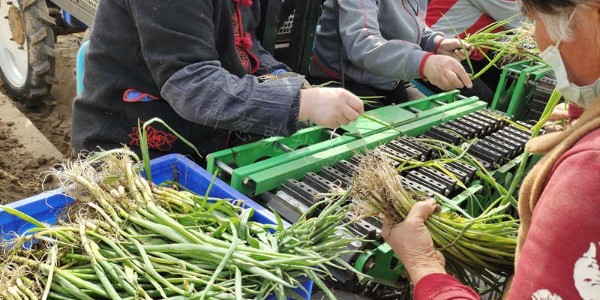 劣質(zhì)農(nóng)技專(zhuān)家?退退退