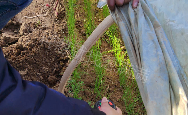 蔥滿滿技術員進行線下技術指導