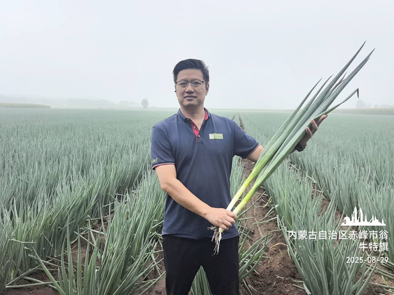 美白一號(hào)赤峰實(shí)拍