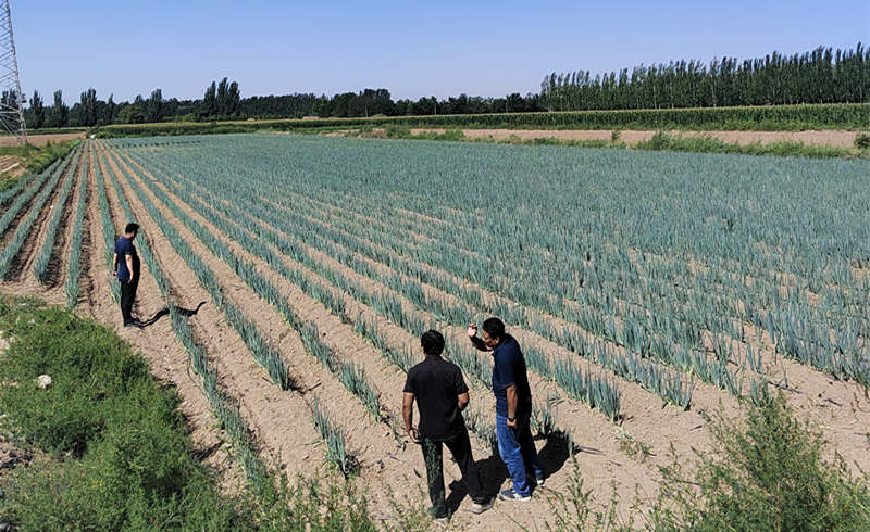 出發(fā)內蒙古1