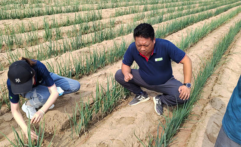 出發(fā)內蒙古實拍