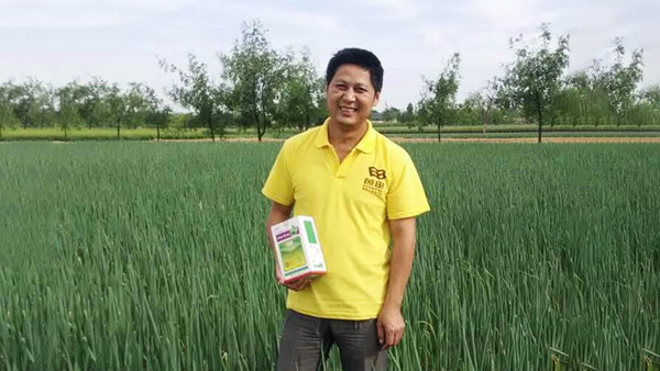 蔥滿滿輕松解決了陜西張老板大蔥的薊馬、斑潛蠅問題