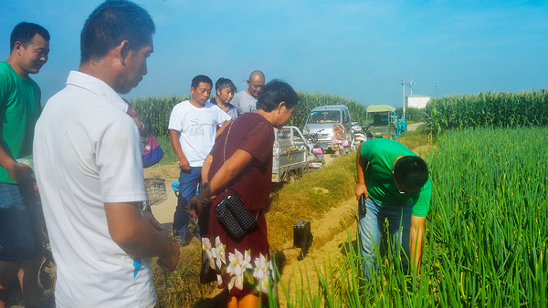 蔥滿滿輕松解決了朱老板大蔥種植的病蟲害問題