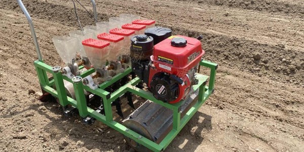 蔥滿滿大蔥雙高種植教學(xué)基地播種現(xiàn)場