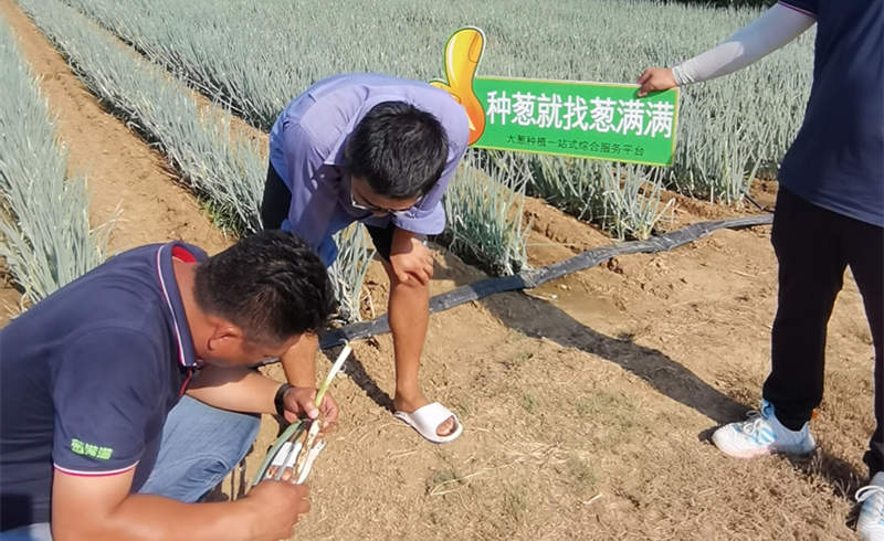 蔥滿滿線下技術指導