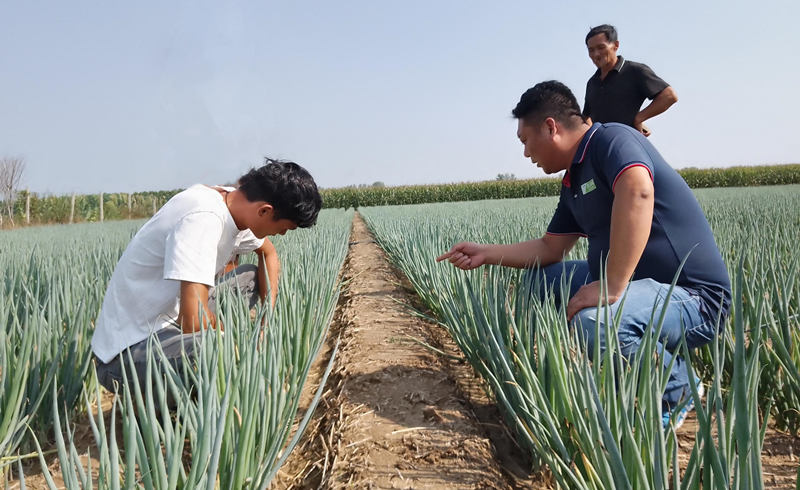 周口西華線下技術(shù)指導(dǎo)