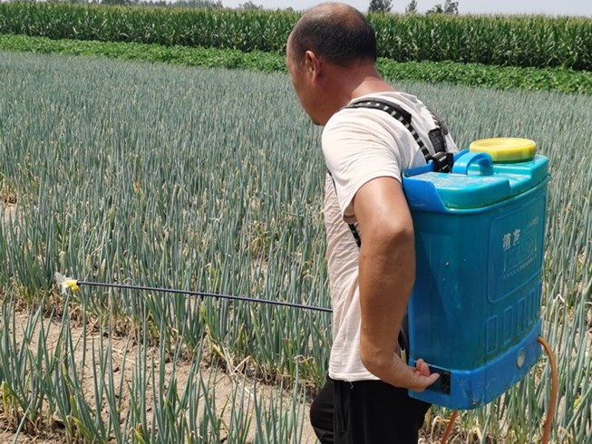 葉面肥解決方案