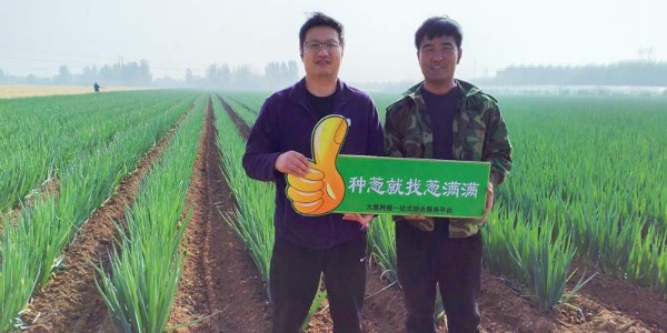 蔥滿滿高級技術老師余建華深入山東種蔥主產區進行調研