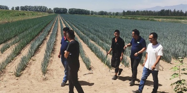 蔥滿滿會員是真的嗎?蔥滿滿會員怎么樣?