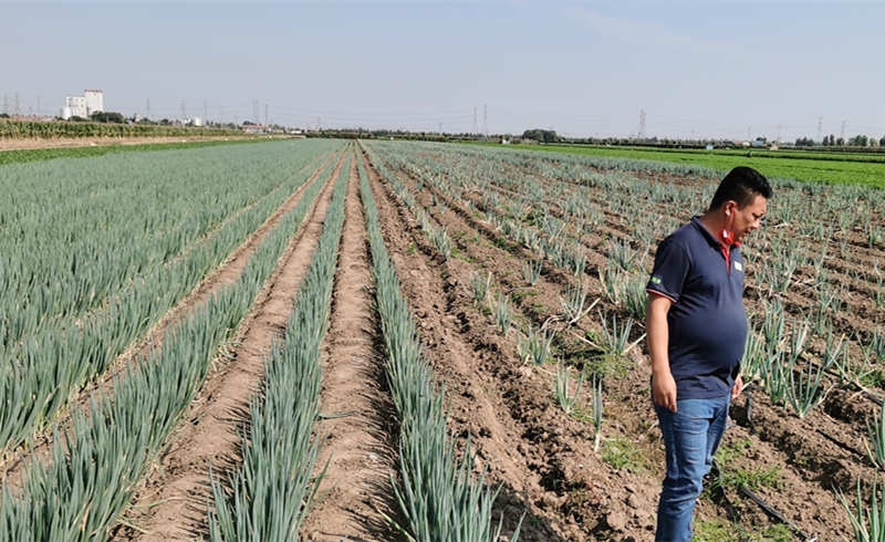 出發(fā)內蒙古2