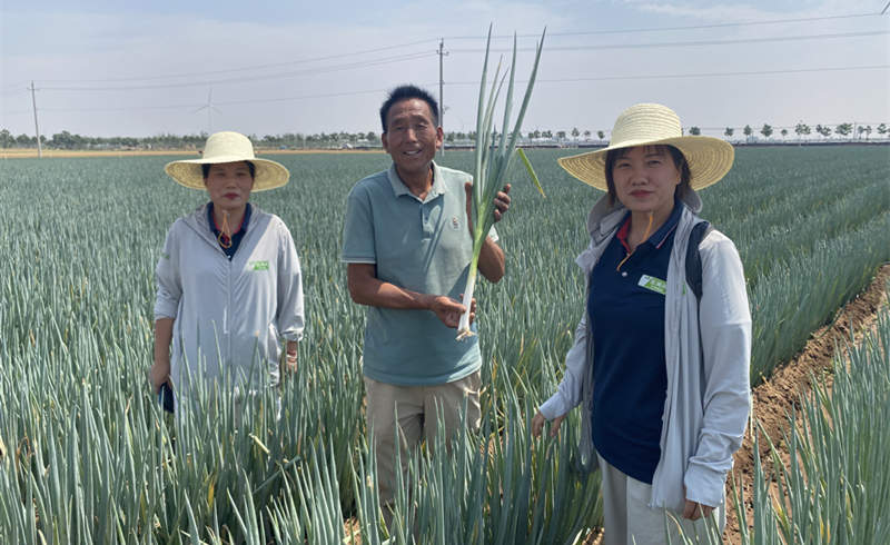 漯河薛大哥地塊