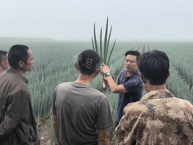 腳下有泥   心中有光  2