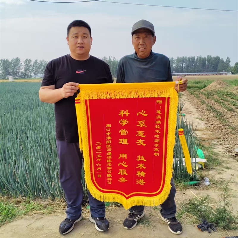 周口淮陽陳祥付—李高朝