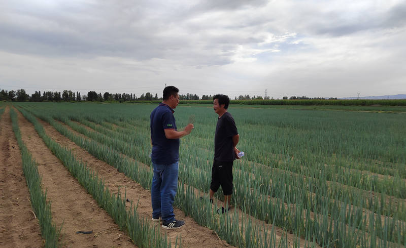 蔥滿滿線下技術指導